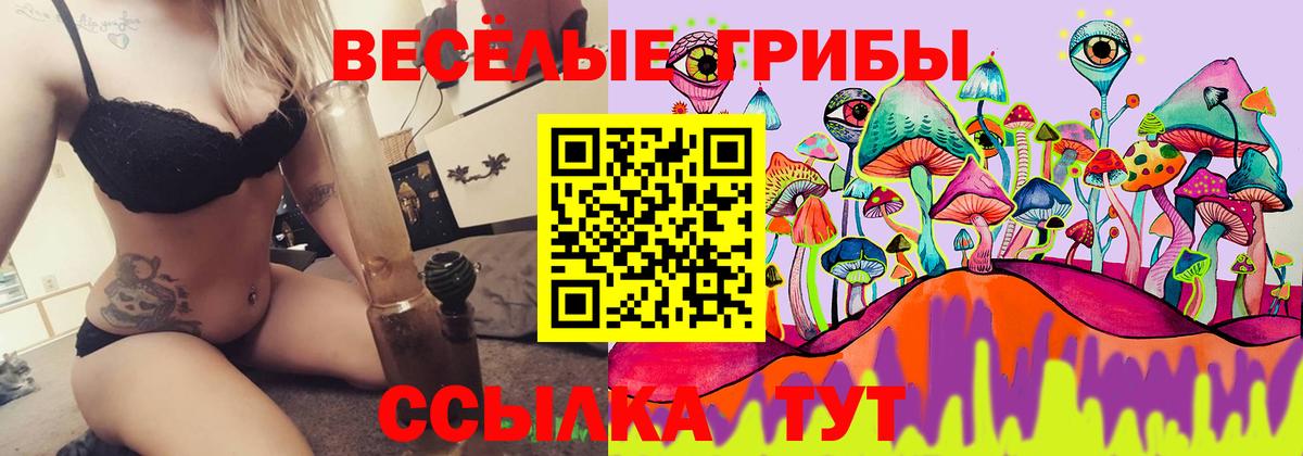 Псилоцибиновые грибы GOLDEN TEACHER Алушта